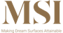 MSI logo